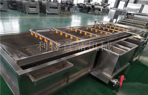 青蘿卜清洗設備規(guī)格品質(zhì) 諸城市利特食品機械