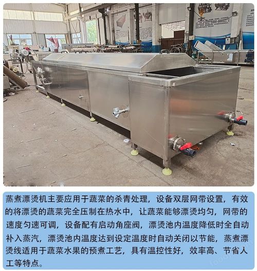 毛豆清洗設備 果蔬加工成套設備