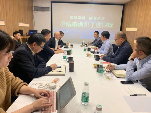強(qiáng)化服務(wù)產(chǎn)品，打造卓越創(chuàng)新性科技服務(wù)機(jī)構(gòu) 信息技術(shù)咨詢服務(wù)的核心競爭力構(gòu)建
