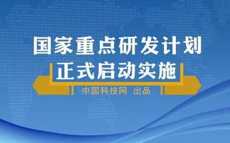 網絡技術服務 智能機器人協同制造與智能工廠建設的核心支撐